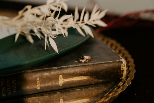Scarlet Huggie Hoops- 14k Gold Filled